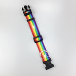 Pet Product For Dog Pet Collar leash Nylon High Quality Multiple Series Colorful Fashion New Design Dog Collar Adjustable