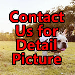 Fashion Dog Clothes for Small Dogs Waterproof Jacket for Chihuahua French Bulldog Raincoat Clothing for Puppy Cat Costume BR0026